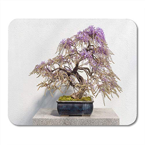 Preisvergleich Produktbild Mauspads Asiatische grüne Bonzai blühende japanische Glyzinie-Bonsais mit rosa Blumen Floribunda weißer Baum-Blüten-Mausunterlage für Notizbücher, Tischrechnermatten Bürozubehöre