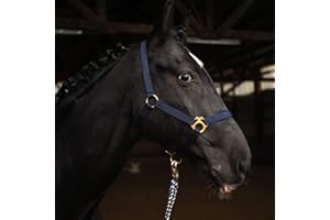 Pferdelinis Cabestro para Caballo de Sangre Caliente, Sangre Completa, Sangre fría – Cabestro establo Cabestro de Pasto (Azul Oscuro, Pura Sangre (COB))