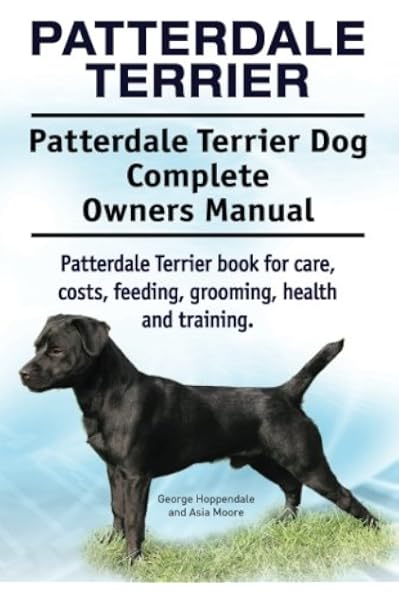 patterdale training
