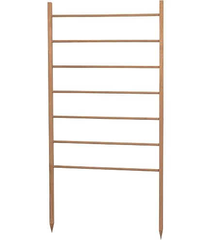Rankgitter-Set zum selber bauen - 100 Bambusstbe 180 cm lang + 200  Klammern : Amazon.de: Garten