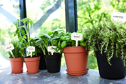 elho Green Basics Untersetzer 25cm – Lebhaft Schwarz - 3