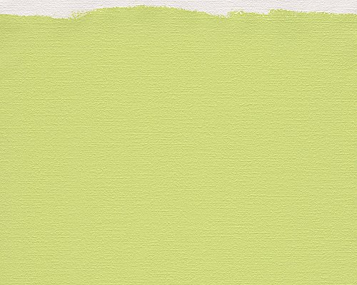 A.S. Création Vliestapete Meistervlies Pro Protect 2, mehrfach überstreichbar, rissüberbrückend, formstabil, glasfaserfrei, weiß, 103918 - 3