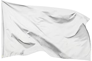 PHENO FLAGS Weiße Flagge 90x150 cm - Extrem wetterbeständige Fahne mit Messingösen, 100% Polyester, robuste Doppelnaht & in lebendigen Farben - Fahne zum Bemalen für Familienfeiern & Firmenfeste