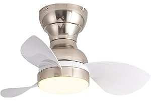 YCWDCZ Ø56cm Mini Ventilador de Techo con Luz y Mando a Distancia, Lampara Ventilador Techo Pequeño, Reversible Modo Verano Invierno Motor DC Silencioso 6 Velocidades, Plata + Blanco