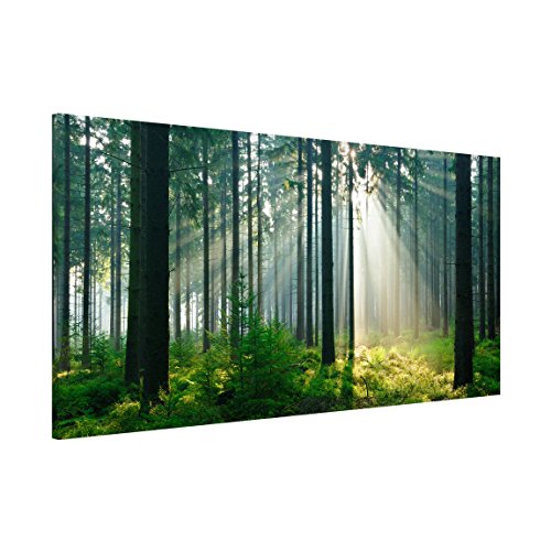 Apalis 108757 Magnettafel Enlightened Forest Memoboard Design Quer Metall Magnet Pinnwand Motiv Wand Stahl Küche Büro, 37 x 78 cm