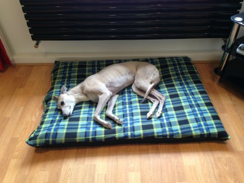 KosiPet-GREEN-CHECK-Fleece-EXTRA-LARGE-SPARE-COVER-For-Dog-BedDog-BedsPet-BedDogbedDogbedsPetbedPetbeds