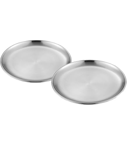 Lot 6 Assiettes 20 Cm LEKEFETO Assiettes Camping Assiettes Inox 20cm - Lot De 2 - Pour Camping/pique-nique - Lave-vaisselle Plateau Inox Assiette Bebe Inox