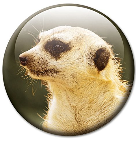 Erdmännchen – Tierische Design Metall Magnettafel 40×30 cm – Pinnwand Memoboard mit Motiv: Erdmännchen – inkl. 4 Magnete mit Motiven von Erdmännchen für Magnetwand – Original Magnetpinnwand GUMA Magneticum - 4