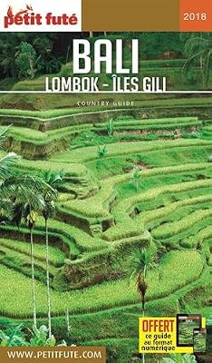 petit futé bali