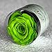 Produktbild 'Ewige Rose, eine stabilisierte Rose (Grüne)