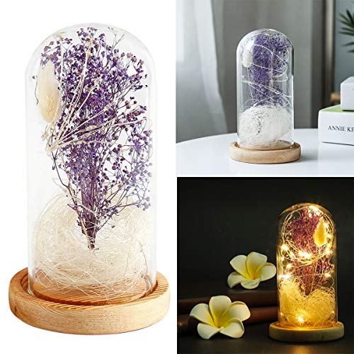 Yinroom Glass Dome Lamp Bell Jar Display Dome Beauty and the Beast Imitated Starry Sky Stars Fallen Petals Glass Dome Wooden Base for Christmas Valentine's Gifts (Color : Purple)
