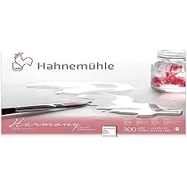 Bloc Aquarelle Hahnemühle Expression - 20 Feuilles 300g 24x30cm - 100% Coton Made In Germany