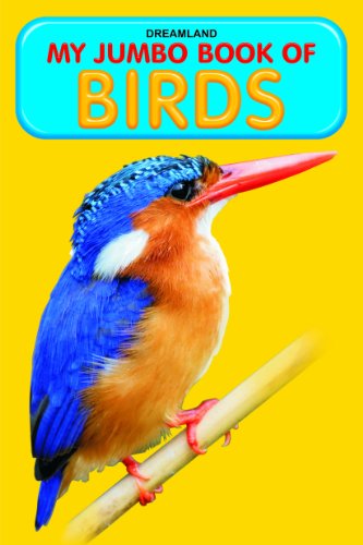 Preisvergleich Produktbild My Jumbo Book of Birds