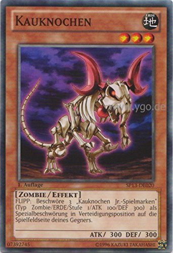 Preisvergleich Produktbild SP13-DE020 Kauknochen 1. Auflage