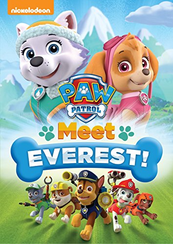 Preisvergleich Produktbild Paw Patrol: Meet Everest!