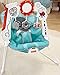 Fisher-Price 2-in-1 Sensory Stages Bouncer