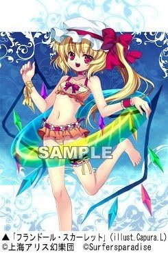 Touhou Project wave Amamiya Character Sleeve Series "Flandre Scarlet"