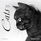 Cats 2015 - Katzen - Broschürenkalender (30 x 60 geöffnet) - schwarz/weiß - by Sabine Rath by 