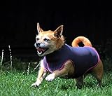  Abrigo de perro Cooling de lujo Chaleco Cool ajustable-Regalo para perros-Reversible 2 colores-Chaqueta de invierno cálida-Cerrador ajustable-PEQUEÑO Plata/Rosa