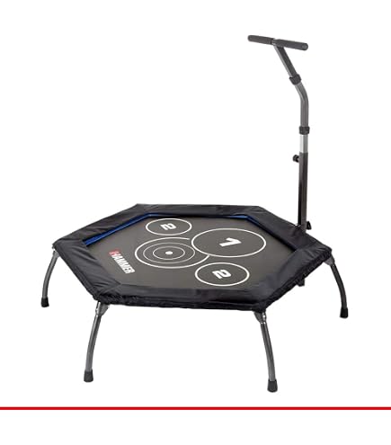 Sport-Thieme Trampolin Flex Pro – Klappbar, Für Fitness & Koordination