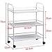 Tinxs Iron Beauty Trolley Salon Spa Furniture Shelf Tattoo Dentist Waxing Treatment Cart-3 Tiers-60.5 x 32 x 75cm(W&D&H)