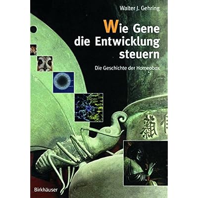 [PDF] Download Wie Gene die Entwicklung steuern: Die Geschichte der Homeobox (German Edition) Kostenlos