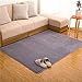 Produktbild adasmile Super Soft innen modernes Shaggy Teppiche/Fußmatte/Cover Teppiche mit Memory-Schaum Coral Samt Stoff für Wohnzimmer/Schlafzimmer/Kinderzimmer/Teens/Home Dekorieren (120cmx160 cm/119,9 x 160 cm) grau