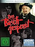 Große Geschichten 29: Das Buschgespenst [2 DVDs]