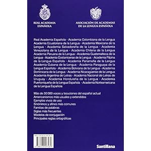 Diccionario Practico del Estudiante (DICCIONARIOS RAE ESCOLAR, Band 701002)