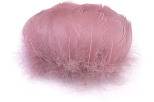 DUORIES Lot 100 Plumes colorées pour travaux manuels,Plumes d'oie pour Bricolage,Masques,Chapeaux,boucd'oreilles,Accessoires Cheveux,Attrape-rêves,Mariage,Carnaval,fête,décoration 5 à 8 cm Rose Vieilli