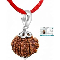 51gxE sjncL. AC UL250 SR250,250