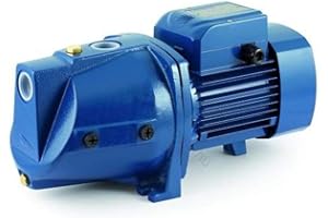 Self Priming JET Electric Water Pump JSWm2AX 1,5Hp 240V Pedrollo JSW
