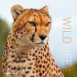 Wildlife 2014 Broschürenkalender by 