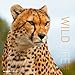 Wildlife 2014 Broschürenkalender by 