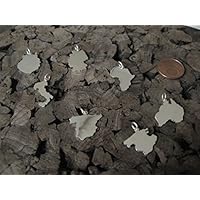 Zierliche Wunsch Landkarten Anhänger in 925er Silber (ein Kontinent)