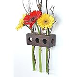 Fenstervase Nuss 3er Blumenvase Test Tube Vase Flower Vase