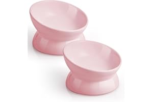 LoeJan Elevated Cat Food Bowl, 5 Oz Ceramic Raised and Tilted Pet Water Bowl, Anti Vomiting and Protect Pets' Spines Cat Dishes for Small Dog, Fat Faced Cat, Kitten (Pink, 2 Pack)