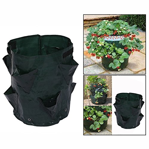 Preisvergleich Produktbild Cisixin Erdbeere Pflanztaschen mit Belüftung(Schwarz)