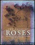Image de The Glory of Roses