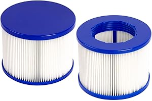 Benfosh Lot de 2 Cartouches Filtre Spa Infinite a Visser,Filtre 75 x 100 mm，Filtre Spa A Visser pour gymax Spa Pool Spa Hot Tub Filter Cartouches de Rechange, Bleu et Blanc