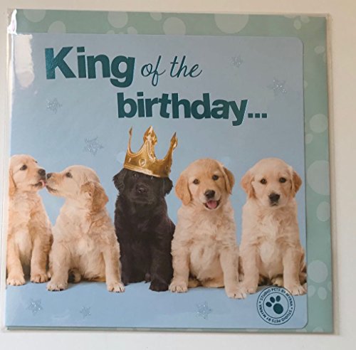 Studio Pets King de la tarjeta de felicitación de cumpleaños