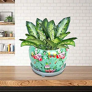 Urban Plant Floral Aesthetic Design, Round Metal Planter with Water Saucer (Aqua Floral)