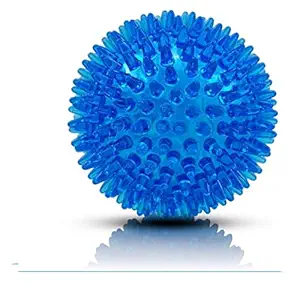 Pet Guard Squeaky Balls for Dogs Puppy Chew Toys Soft Stab Balls Cleaning Teeth Toys Play Balls with High Bounce for Large Medium Small Pet Dog 1 Piece ( Color May Vary )