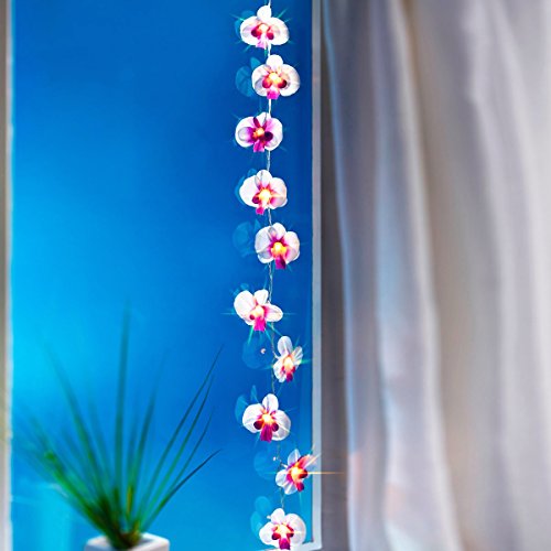 Preisvergleich Produktbild Lichterkette "Orchidee"