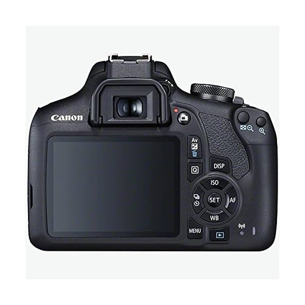Canon EOS 2000D + EF-S 18-55mm f/3.5-5.6 IS II Juego de cámara SLR 24,1 MP CMOS 6000 x 4000 Pixeles Negro - Cámara… - Image 3