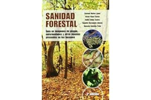 Sanidad forestal (Patología Vegetal)