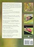 Image de Insects: Their Natural History And Diversity: With a Photographic Guide to Insects of Eastern North America