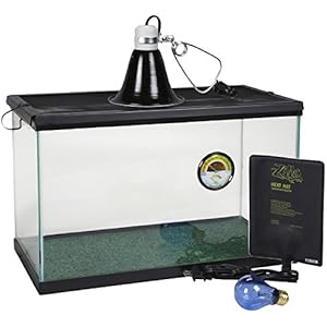 Zilla 0131310-gallon Basic Tropical Kit, 25,4cm von 20von 12Zoll