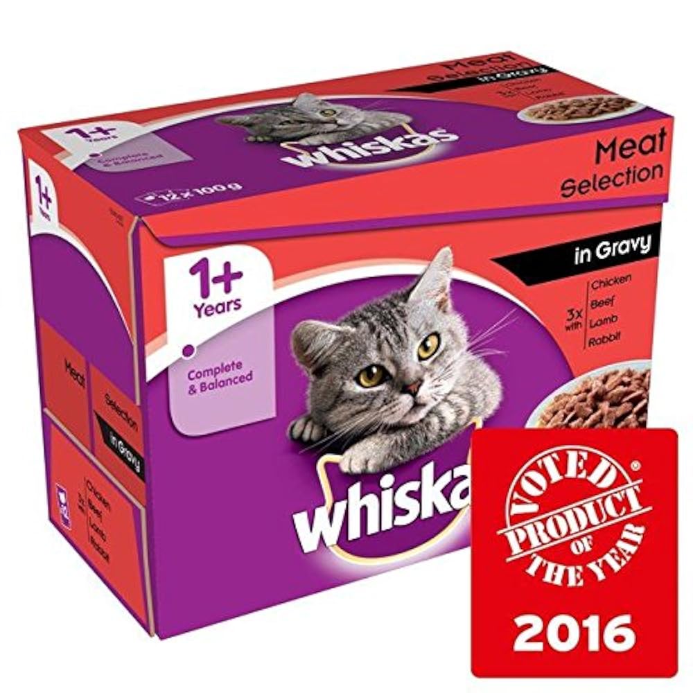 Вискас для кошек влажный купить. Whiskas 1+. Вискас в миске. Whiskas Cat food. Вискас блоггер.