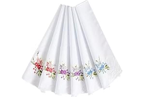 Jancosta 6 Pieces Women's Handkerchief, 100% Cotton 28X28cm Floral Embroidery Lace Ladies Handkerchiefs (White-1)